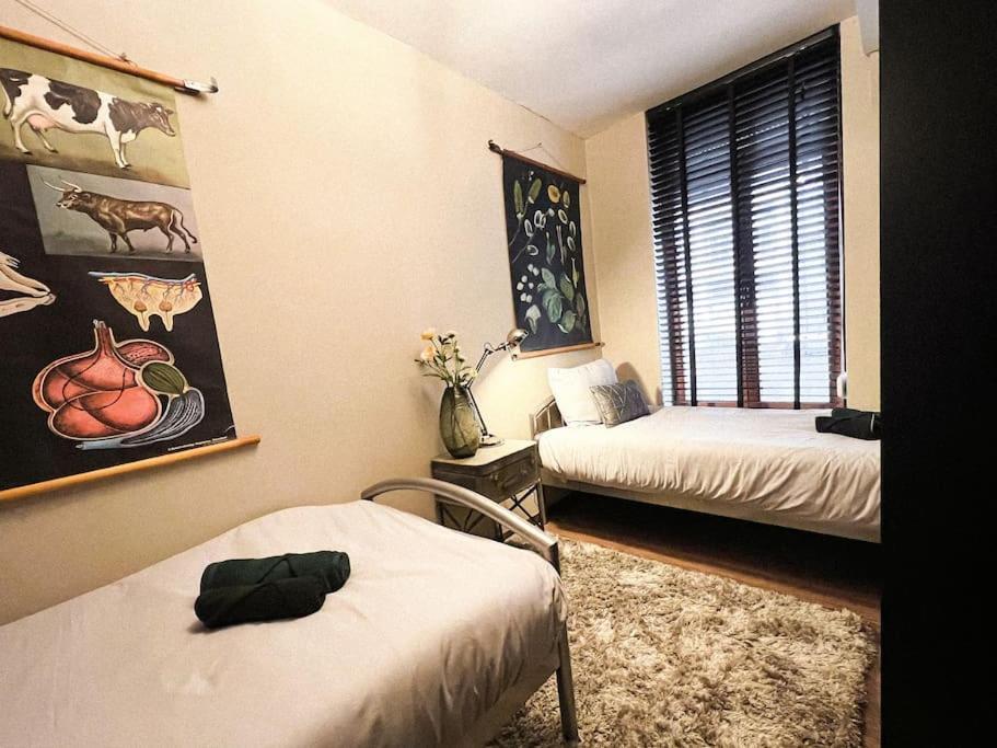 Apartamento Cannelle Verviers Exterior foto